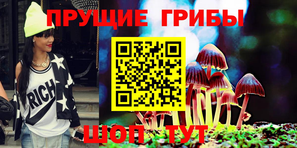 Тосно  Галлюциногенные грибы Psilocybine cubensis  Вход с VPN  Галлюциногенные грибы прущие грибы 