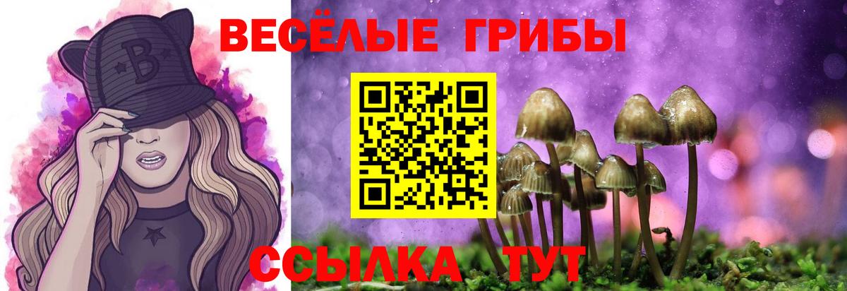 Галлюциногенные грибы мицелий Тосно